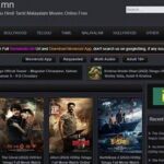 Movierulz 2024: Risks, Reality & Safer Streaming Insights